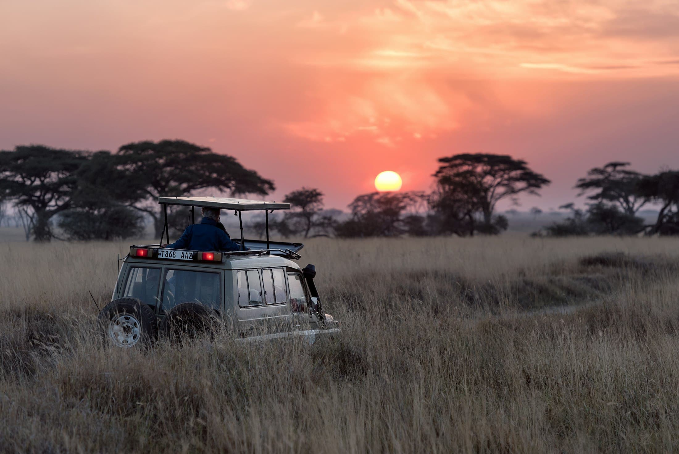 A safari vehicle at sunset in tall savanna grass