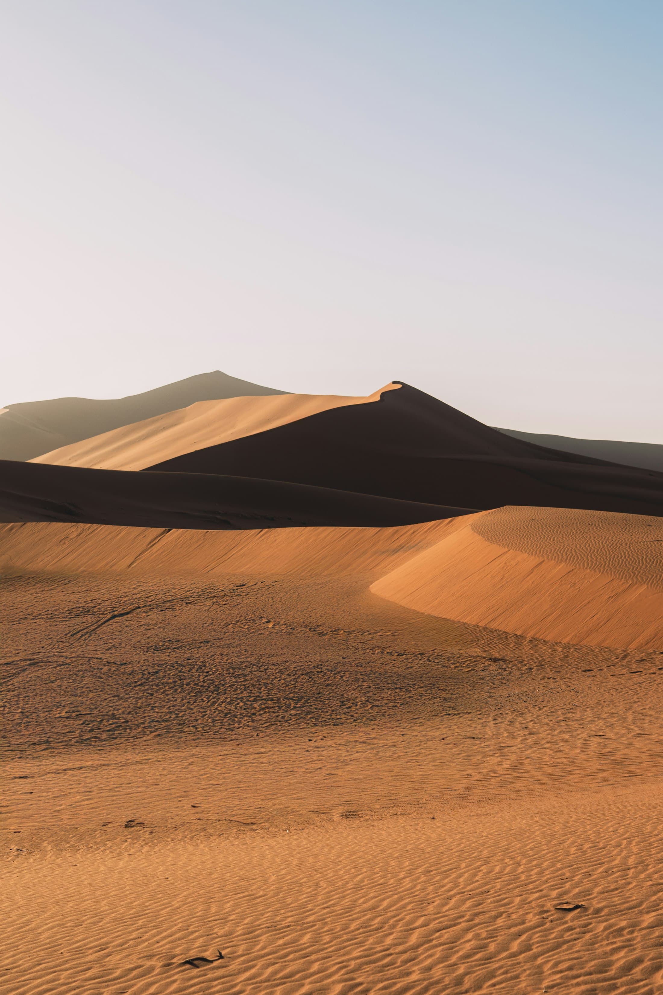 Golden Namib sand dunes under a pale desert sky